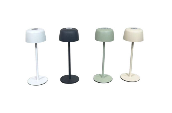 LED Rechargeable Table Lamp Portable with Touch Decorative Lamp