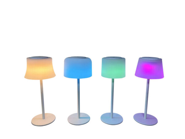 New LED Battery Rechargeable Table Lamp Modern Colour Changing RGB Table Lamp